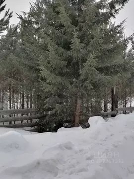 Участок в Иркутская область, Тайшетский район, Старо-Акульшетское ...