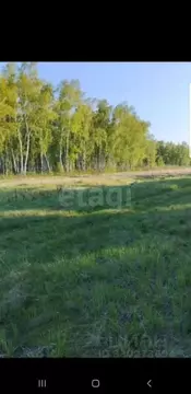 Участок в Красноярский край, Красноярск городской округ, с. Дрокино ...