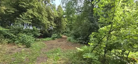 Участок в Москва д. Варварино, ул. Тихая, 8А (25.0 сот.)