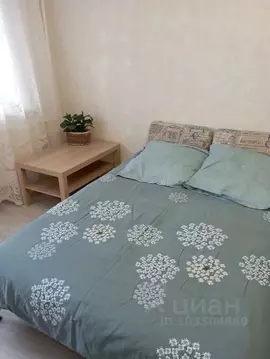 Студия Владимирская область, Владимир ул. Фейгина, 22 (28.0 м)