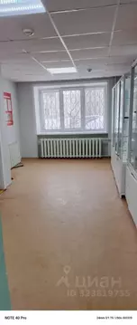 Помещение свободного назначения в Пермский край, Березники ул. Льва ...