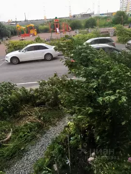 Студия Санкт-Петербург пос. Шушары, просп. Новгородский, 7к2 (22.4 м)