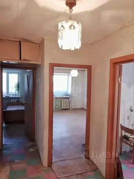 2-к кв. Амурская область, Прогресс пгт Юбилейная ул., 2 (46.7 м)