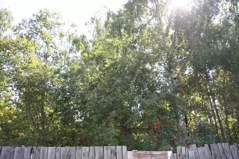 Участок в Московская область, Истра муниципальный округ, д. Крюково  ...