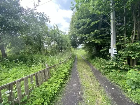 Участок в Калининградская область, Гурьевский муниципальный округ, ...