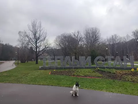 3-к кв. Москва Профсоюзная ул., 130К1 (58.3 м)