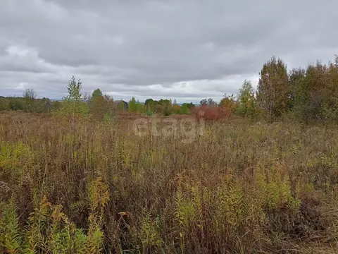 Участок в Брянская область, Брянский район, Мичуринское с/пос, Заря ...