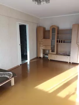 2-к кв. Санкт-Петербург ул. Замшина, 39К1 (45.9 м)