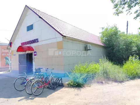 Помещение свободного назначения в Алтайский край, с. Кулунда ул. ...