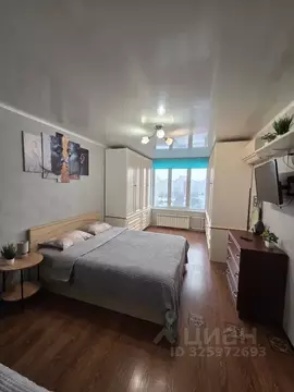 1-к кв. Московская область, Ногинск Богородский городской округ, ул. ...