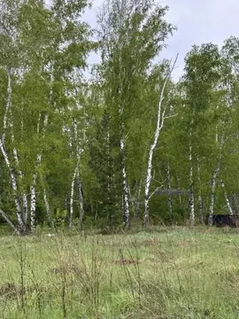 Участок в Алтайский край, Первомайский район, с. Санниково ул. ...