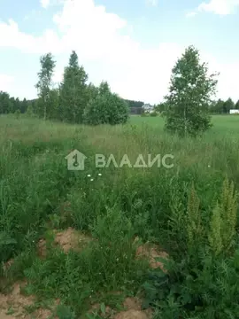 Продается участок в с. Никоновское