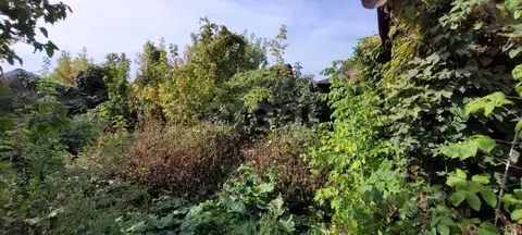 Участок в Воронежская область, Борисоглебск Пролетарская ул., 32 (5.0 ...