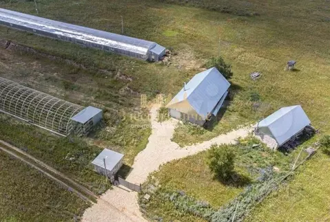 Производственное помещение в Татарстан, Лаишевский район, Егорьевское ...