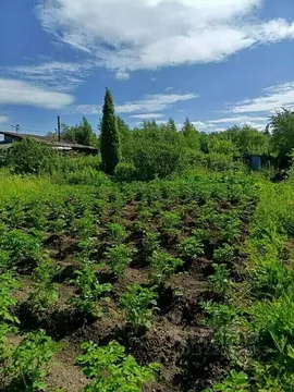 Участок в Свердловская область, Нижний Тагил ул. Шмидта (6.2 сот.)