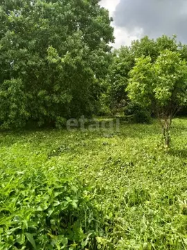 Участок в Смоленская область, Новодугинский муниципальный округ, д. ...