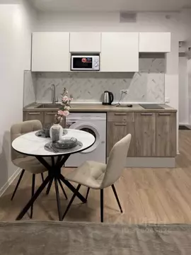 Студия Московская область, Одинцово ул. Березовая, 4к2 (25.5 м)