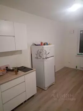 Студия Санкт-Петербург ул. Пахомовская, 14к2 (22.0 м)