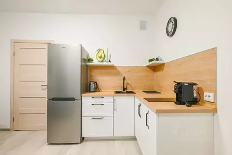 Студия Санкт-Петербург Фарфоровская ул., 7к1 (24.4 м)