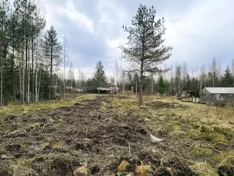 Участок в Ленинградская область, Лужский район, Мшинское с/пос, ...