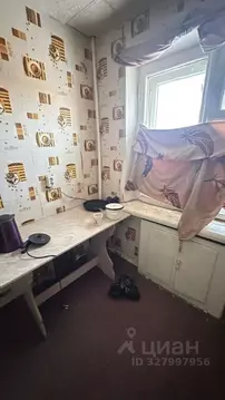 Свободной планировки кв. Магаданская область, Хасынский муниципальный ...