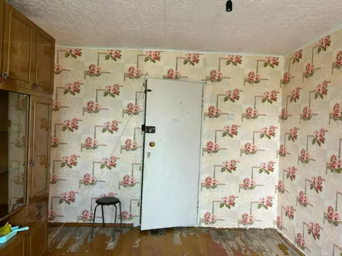 Комната Свердловская область, Нижний Тагил ул. Юности, 3К3 (13.4 м)