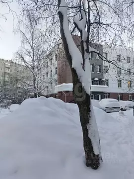 Офис в Коми, Сыктывкар Коммунистическая ул., 48/2 (35 м)