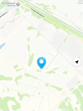 Участок в Новосибирская область, Новосибирский район, Толмачевский ...