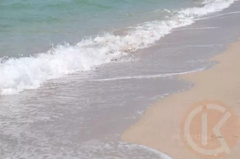 Участок в Крым, Черноморский район, Окуневское с/пос, с. Знаменское  ...