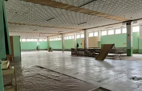Производственное помещение в Санкт-Петербург пос. Парголово, ...
