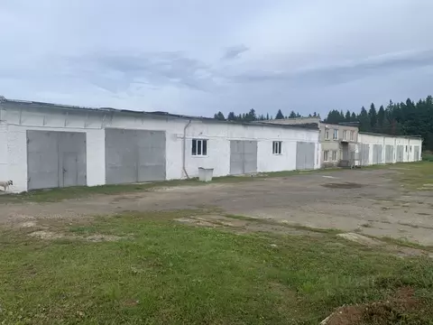 Производственное помещение в Пермский край, Пермский муниципальный ...