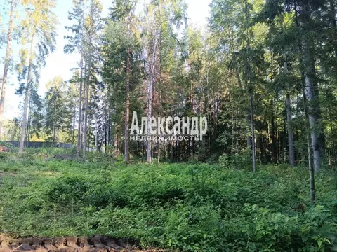 Участок в Ленинградская область, Выборгский район, Селезневское с/пос, ...