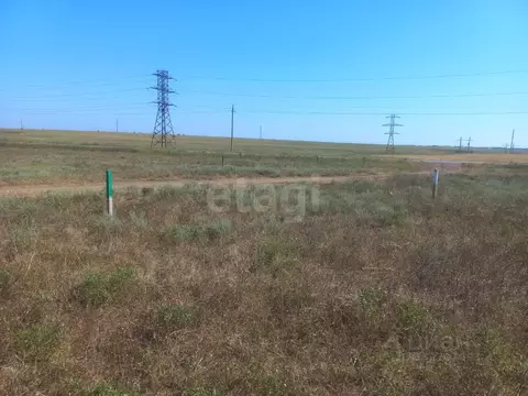 Участок в Крым, Сакский район, Штормовское с/пос, с. Приветное  (6.0 ...