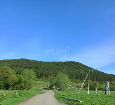 Участок в Алтайский край, Алтайский район, с. Нижнекаянча ул. ...