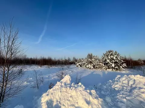 Участок в Московская область, Ступино городской округ, с. Ивановское  ...