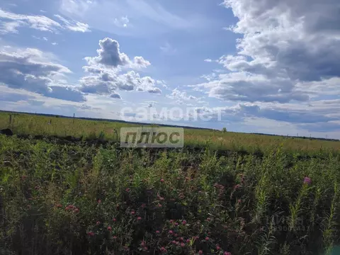 Участок в Тюменская область, Тюменский район, д. Елань  (8.0 сот.)