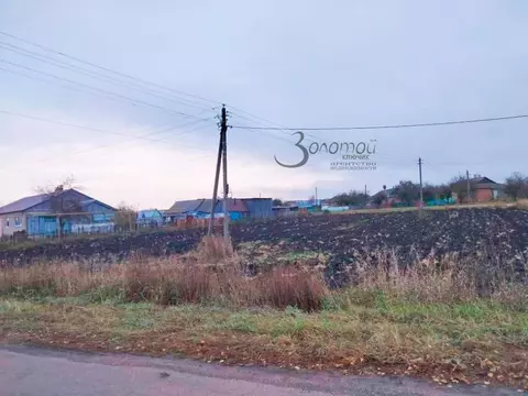 Участок в Нижегородская область, Шатковский муниципальный округ, ...