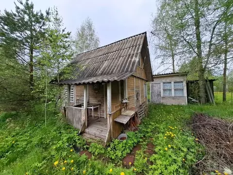 Участок в Ленинградская область, Гатчинский муниципальный округ, ...