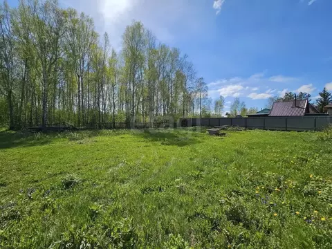 Участок в Тюменская область, Тюмень Березовая роща СНТ, ул. Липовая, ...