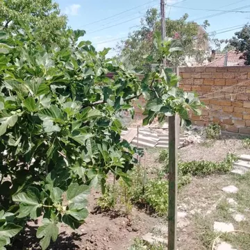 Дом в Крым, Феодосия ул. Московская (93 м)