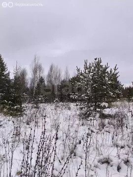 Участок в Пермский муниципальный округ, деревня Качка (590 м)