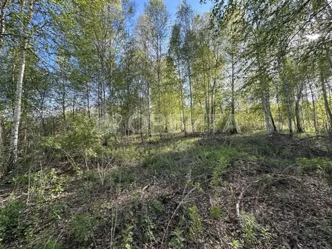 Участок в Тюменская область, Нижнетавдинский муниципальный округ, ...