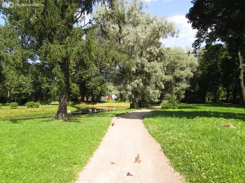 2-комнатная квартира: Санкт-Петербург, улица Бабушкина, 59 (53 м)