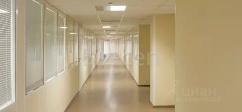 Офис в Санкт-Петербург Лифляндская ул., 6М (33 м)