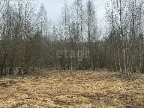 Участок в Московская область, Раменский муниципальный округ, деревня ...