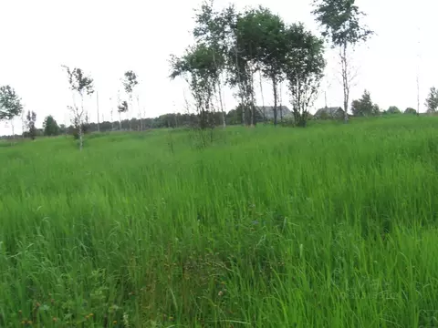 Участок в Калужская область, Малоярославецкий муниципальный округ, ...