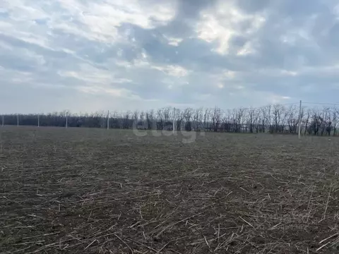 Участок в Ростовская область, Мясниковский район, с. Большие Салы ул. ...