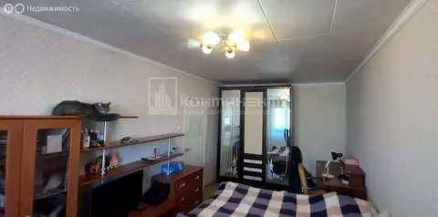 1-комнатная квартира: Владимир, улица Нижняя Дуброва, 44 (32.6 м)