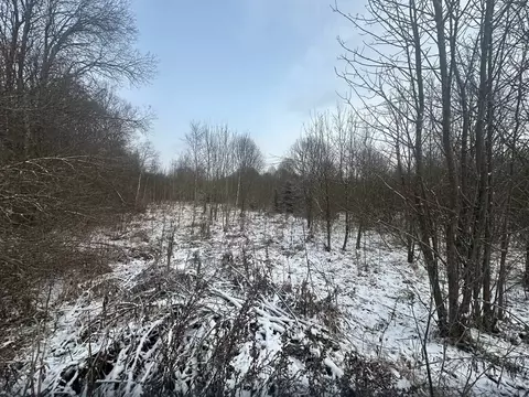 Участок в Московская область, Рузский муниципальный округ, д. ...