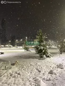 1-комнатная квартира: Аристово, Косой переулок, 5 (28 м)